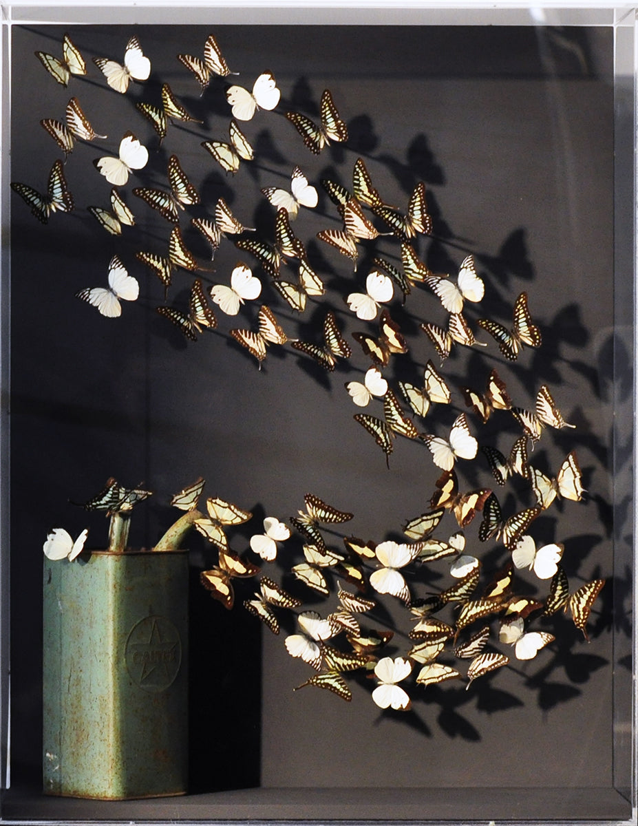 Carolien Bosch — Free, mixed media