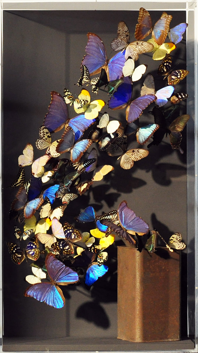 Carolien Bosch — Wave, mixed media