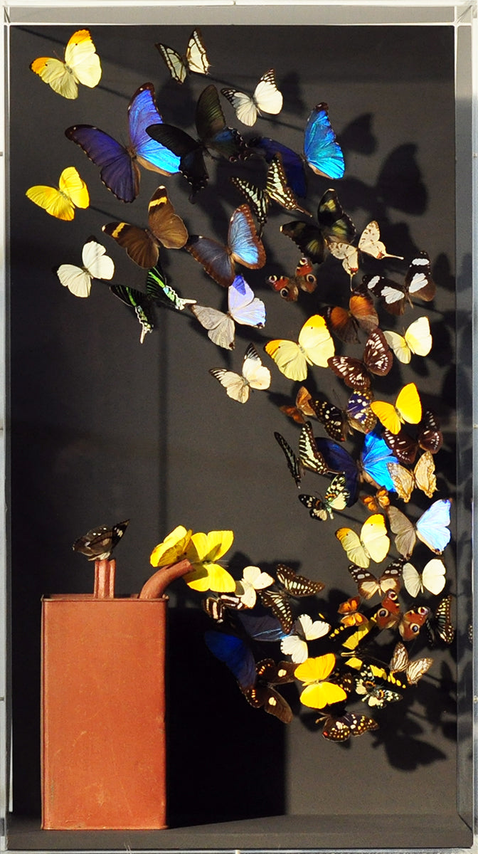 Carolien Bosch — Summer, mixed media