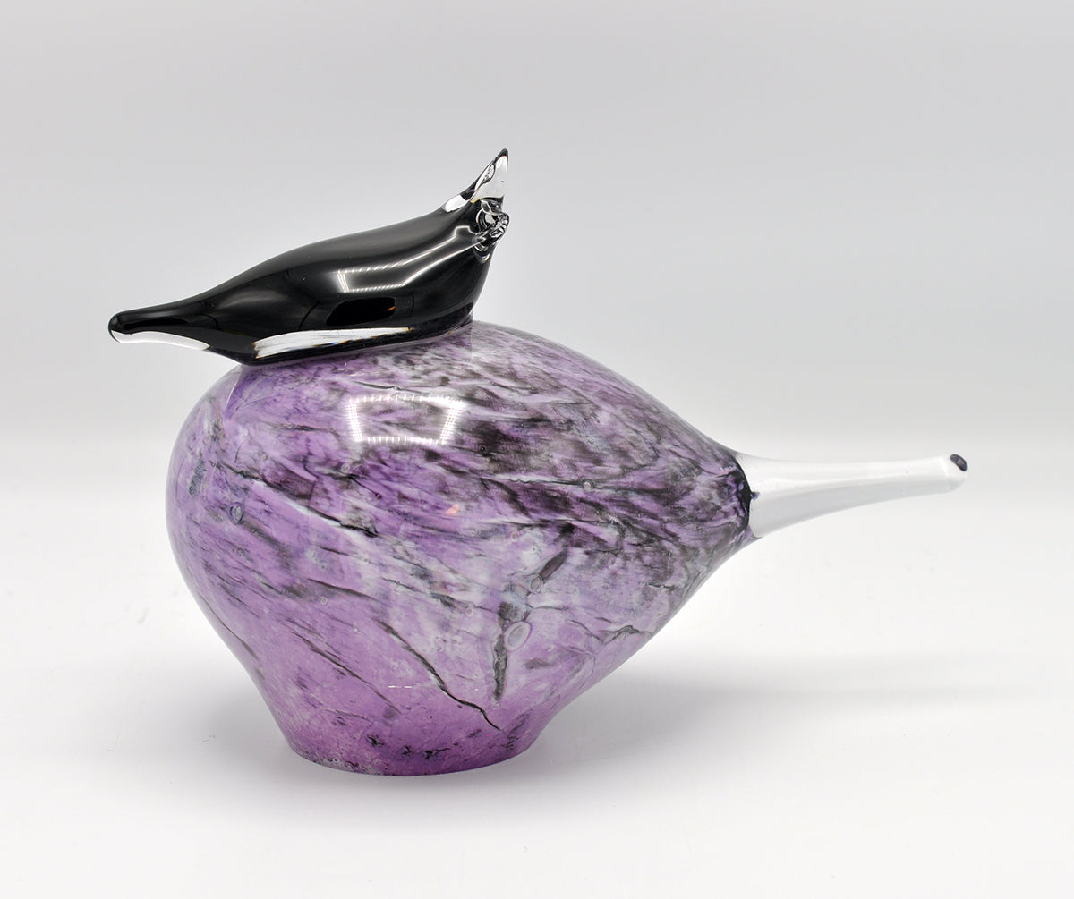 Loranto — Kuifvogel Jay lila, small, glas