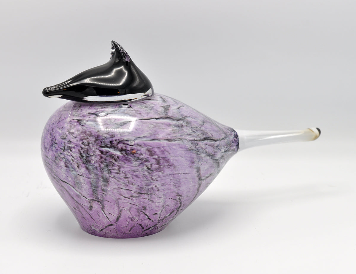 Loranto — Kuifvogel Jay lila, large, glas