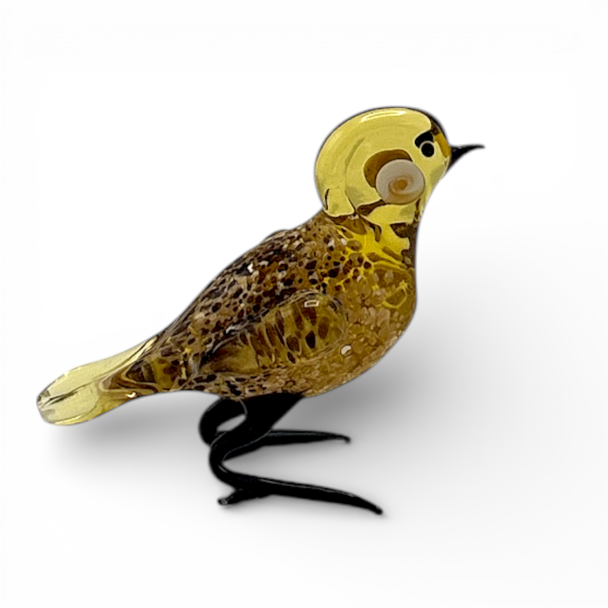 Loranto — Vogel, kwikstaart, glas
