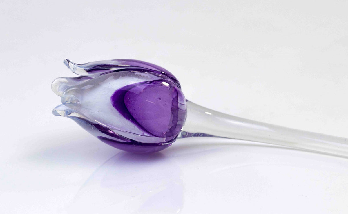 Loranto — Tulp, paars-wit, glas
