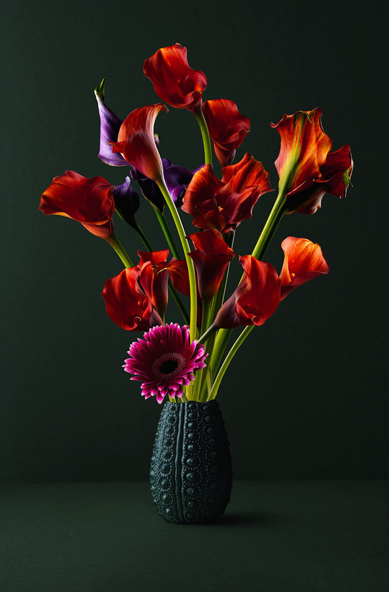 Hans Pieterse — Reds, fotografie (gloss-finish)
