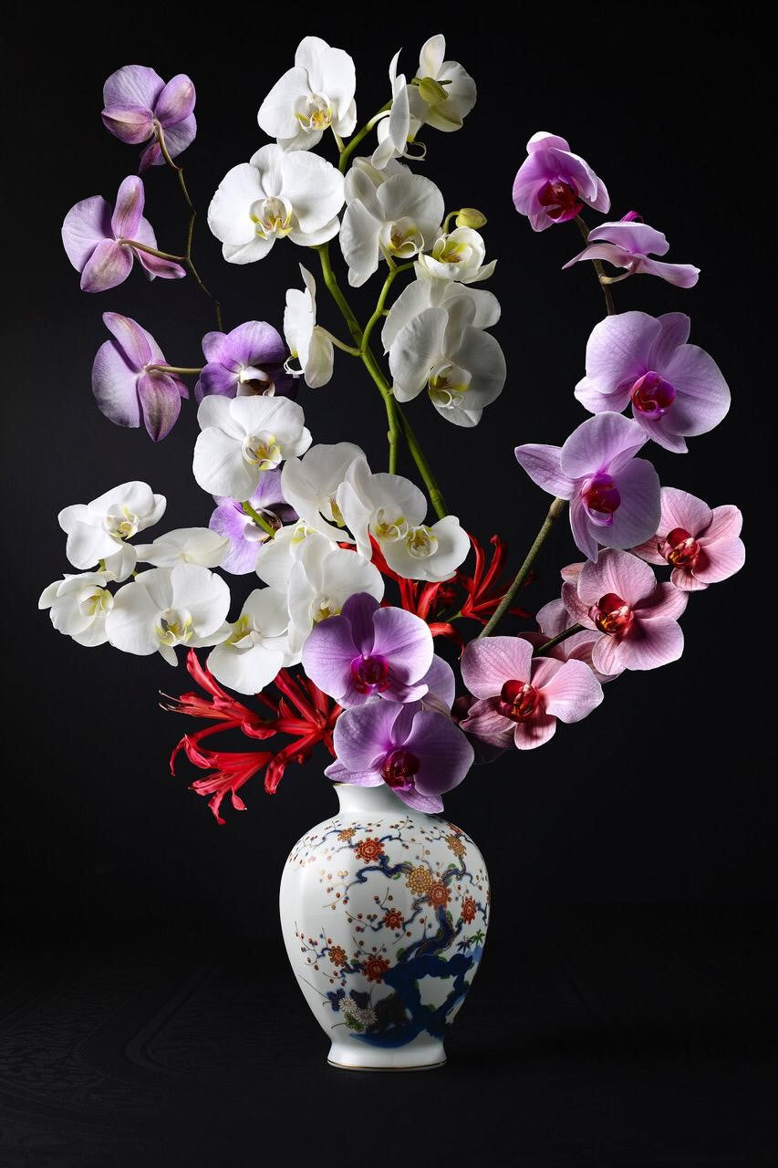 Hans Pieterse — Royal Zen 2, fotografie (gloss-finish)