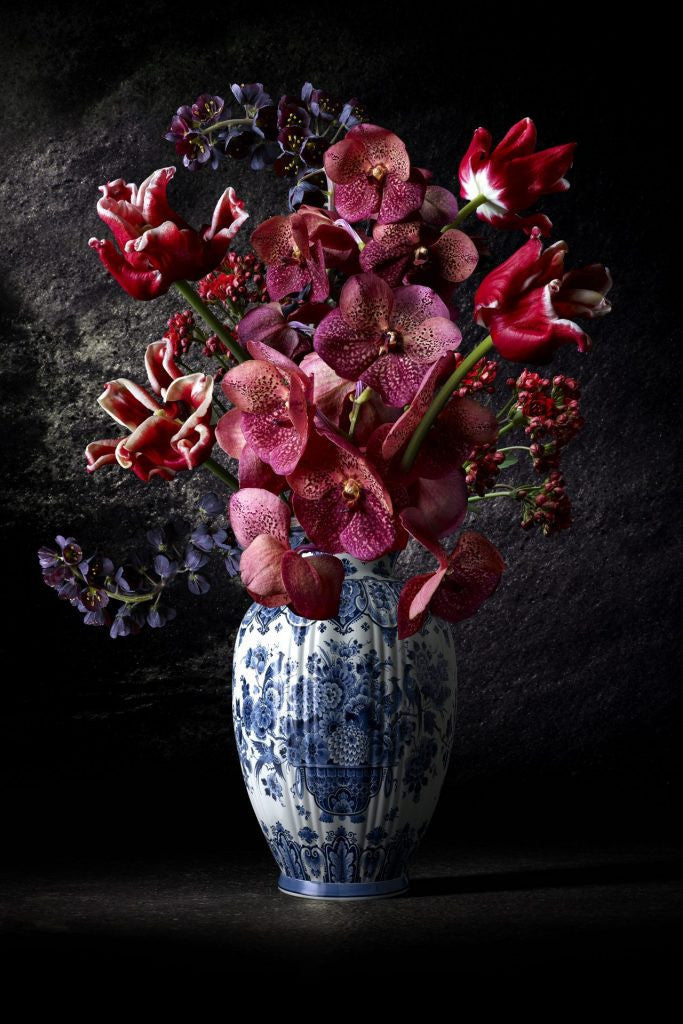 Hans Pieterse — Royal Reds (small), fotografie (anti-reflex)