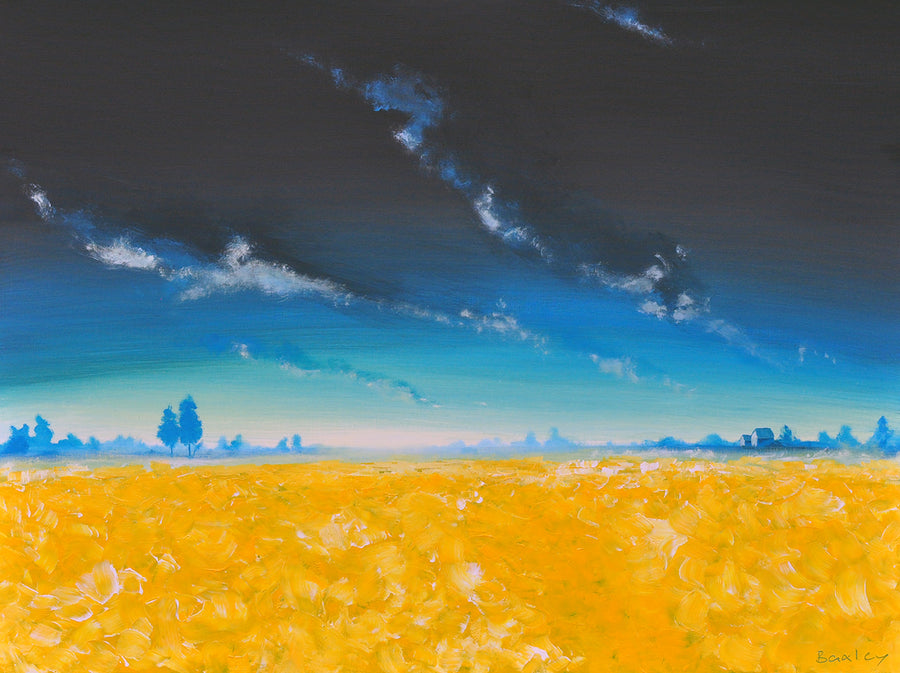 Finn Baxley — Fresno Fields