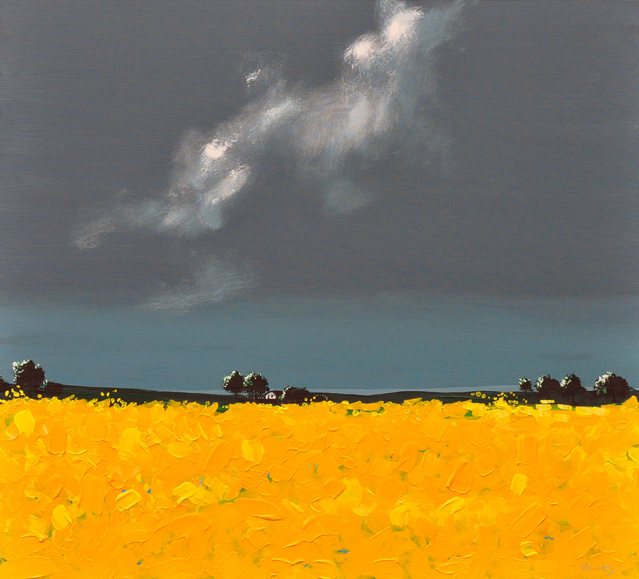 Finn Baxley — Cold evening