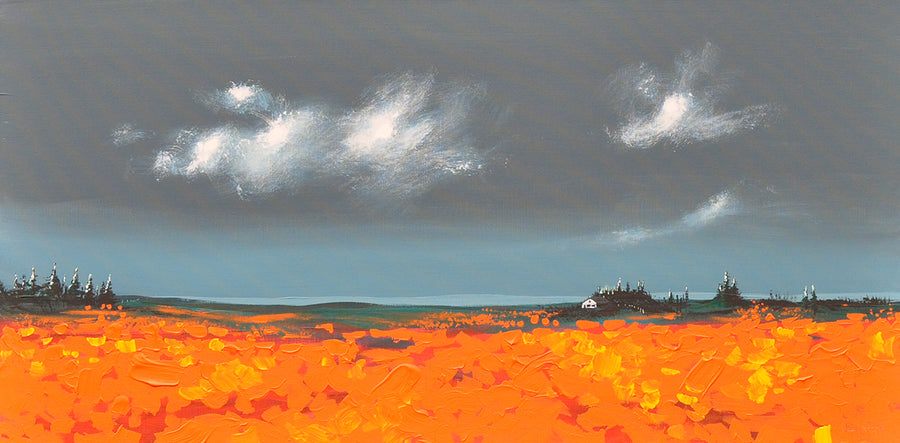 Finn Baxley — Orange field