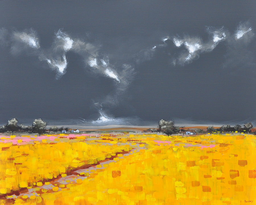 Finn Baxley — Pink Valley