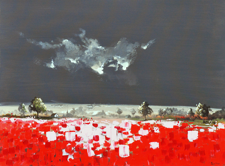 Finn Baxley — After the rain