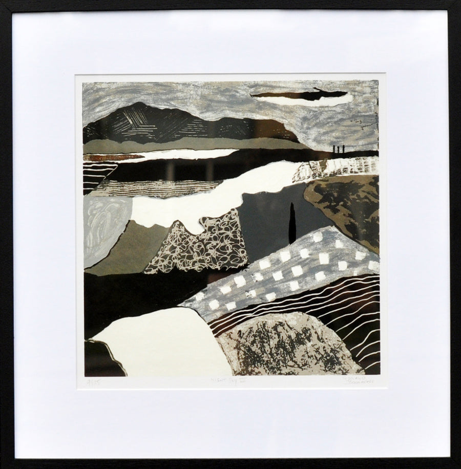 Ronald Boonacker — Night Sky III