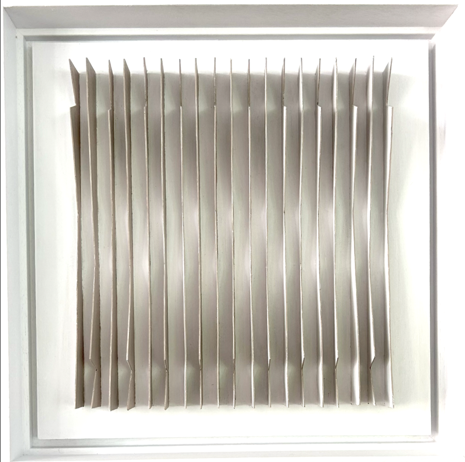 Charlotte Burgmans — White Box LIII, vliegtuig triplex/acryl