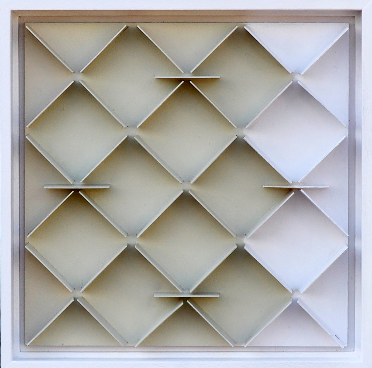 Charlotte Burgmans — White Box lll, vliegtuig triplex/acryl