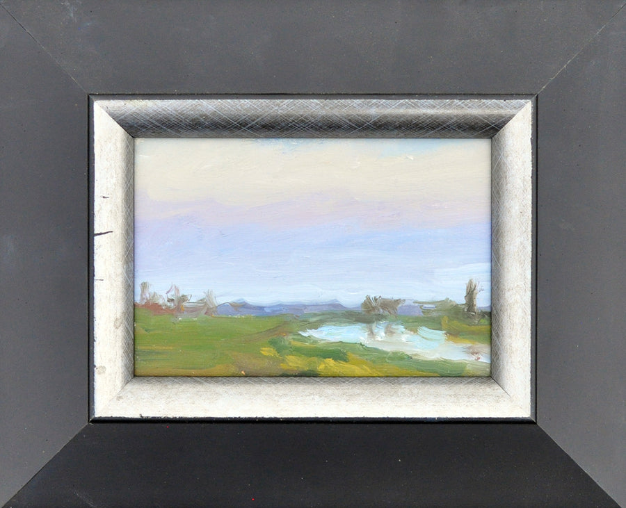Daniel Douglas — IJssel landschap