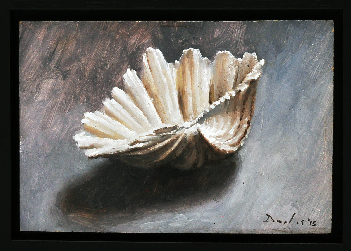 Daniel Douglas — Verloren schelp, olieverf op paneel