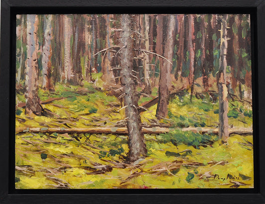 Daniel Douglas — Naaldbos, olieverf op paneel
