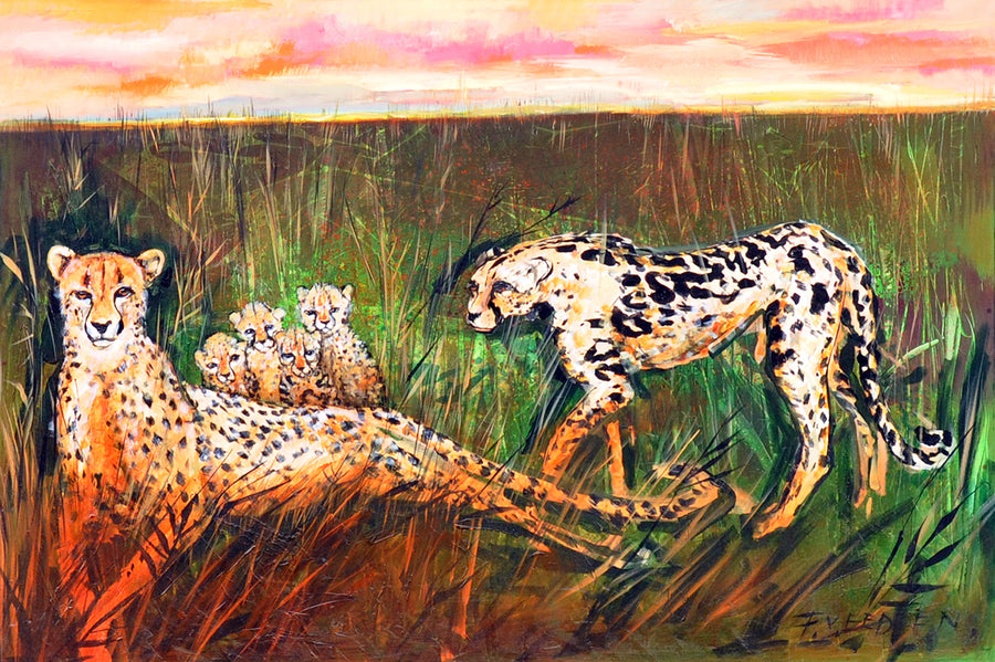 Frits van Eeden — Cheetah's