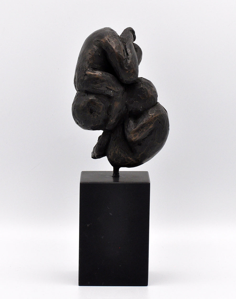 Frits van Eeden — Twins 3
