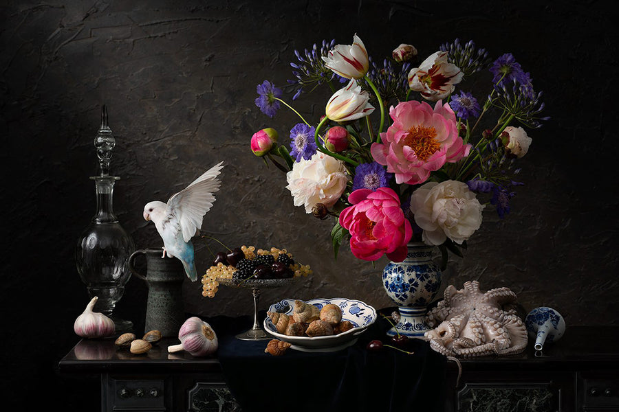 Hester Blankestijn — Salted Dreams (large)