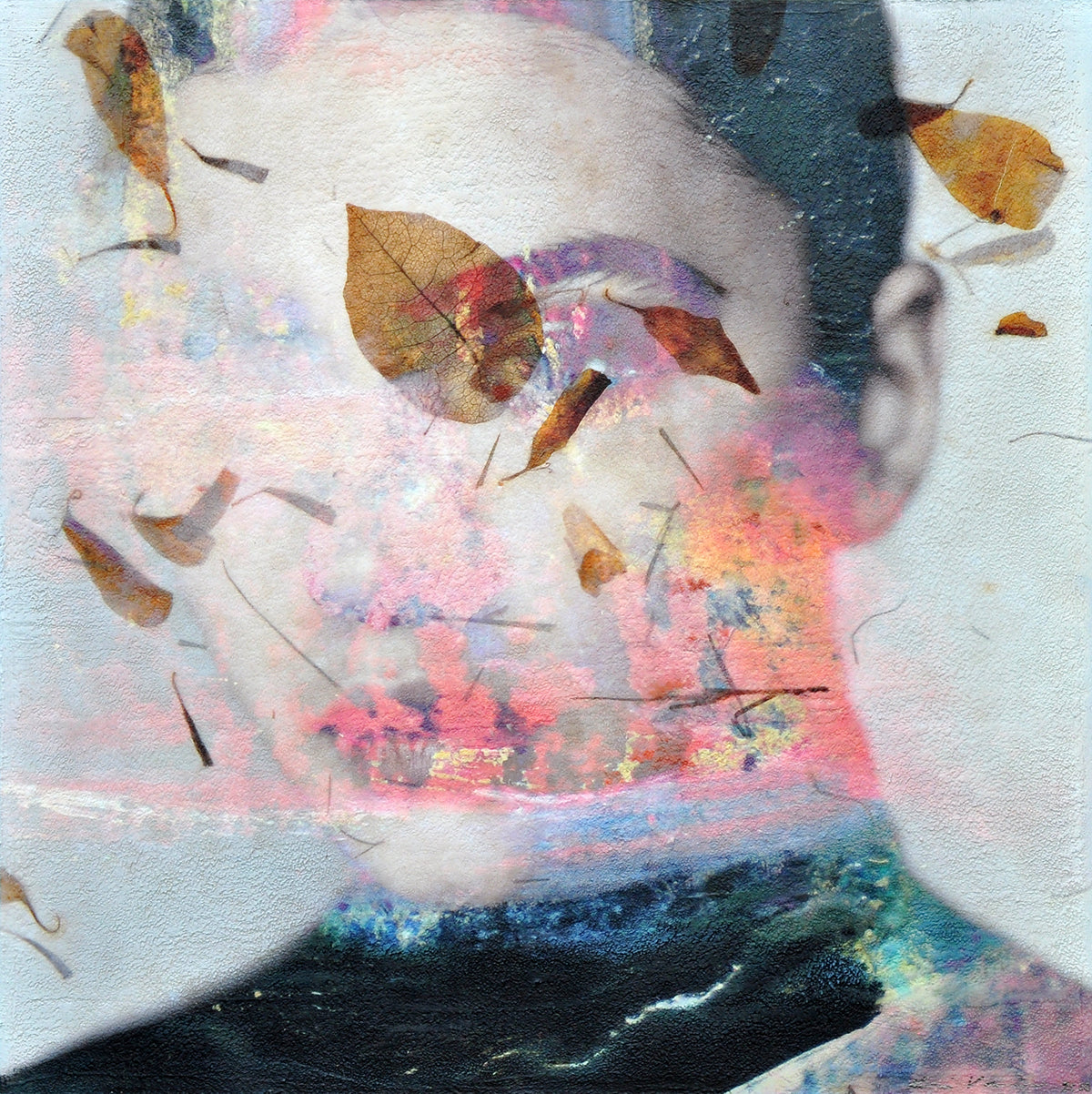 Karin Vermeer — Diaspore, mixed media