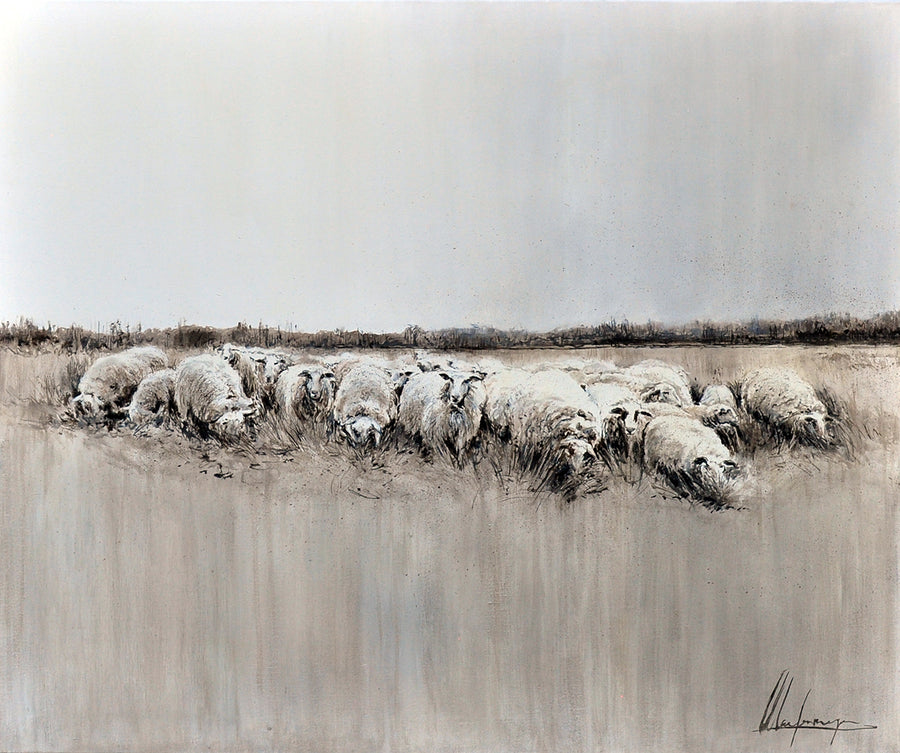 Annabelle Lanfermeijer — Schapen op de hei