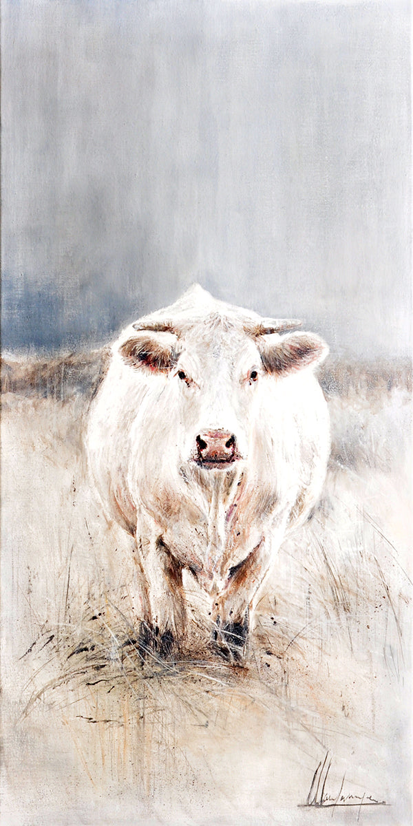 Annabelle Lanfermeijer — Charolais in hoog gras, gemengde techniek