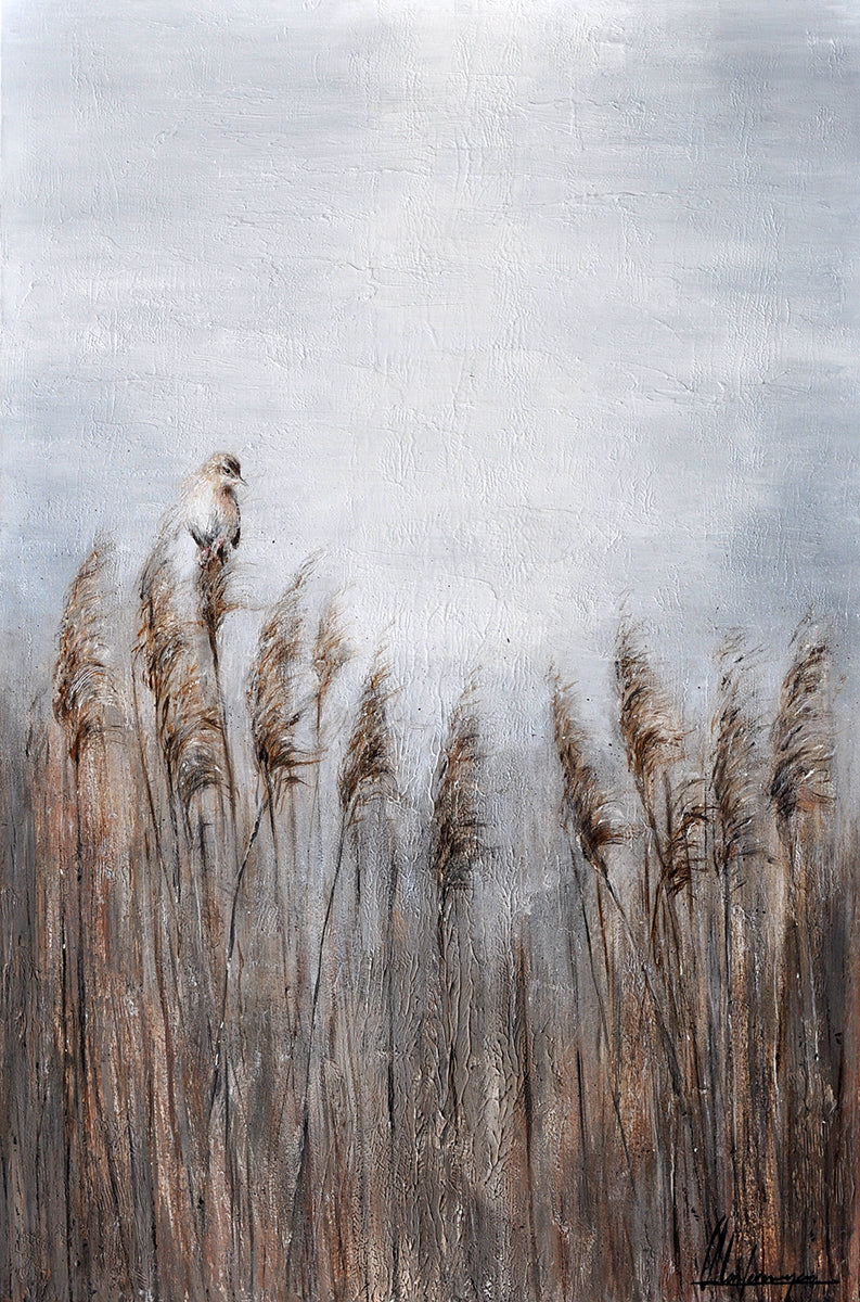 Annabelle Lanfermeijer — Stilte aan het water