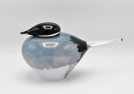 Loranto — Blue Jay, vogel large, glas