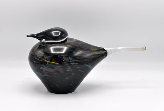 Loranto — Vogel, zwart-bont large, glas
