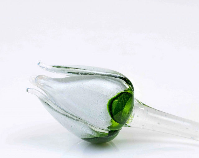 Loranto — Tulp, groen-wit, glas