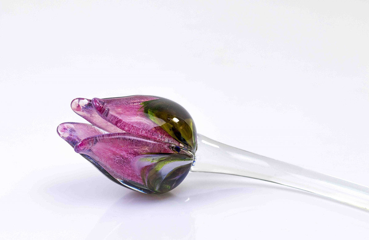 Loranto — Tulp, multicolor-roze, glas