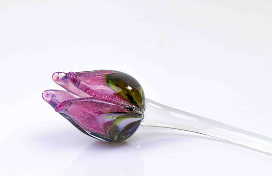 Loranto — Tulp, multicolor-roze, glas