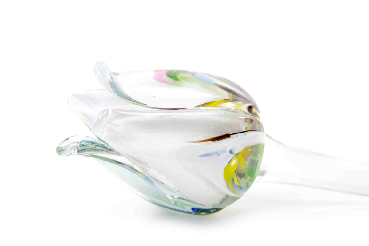 Loranto — Tulp, multicolor-wit, glas