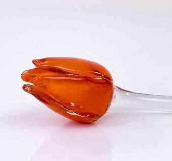 Loranto — Tulp, oranje, glas