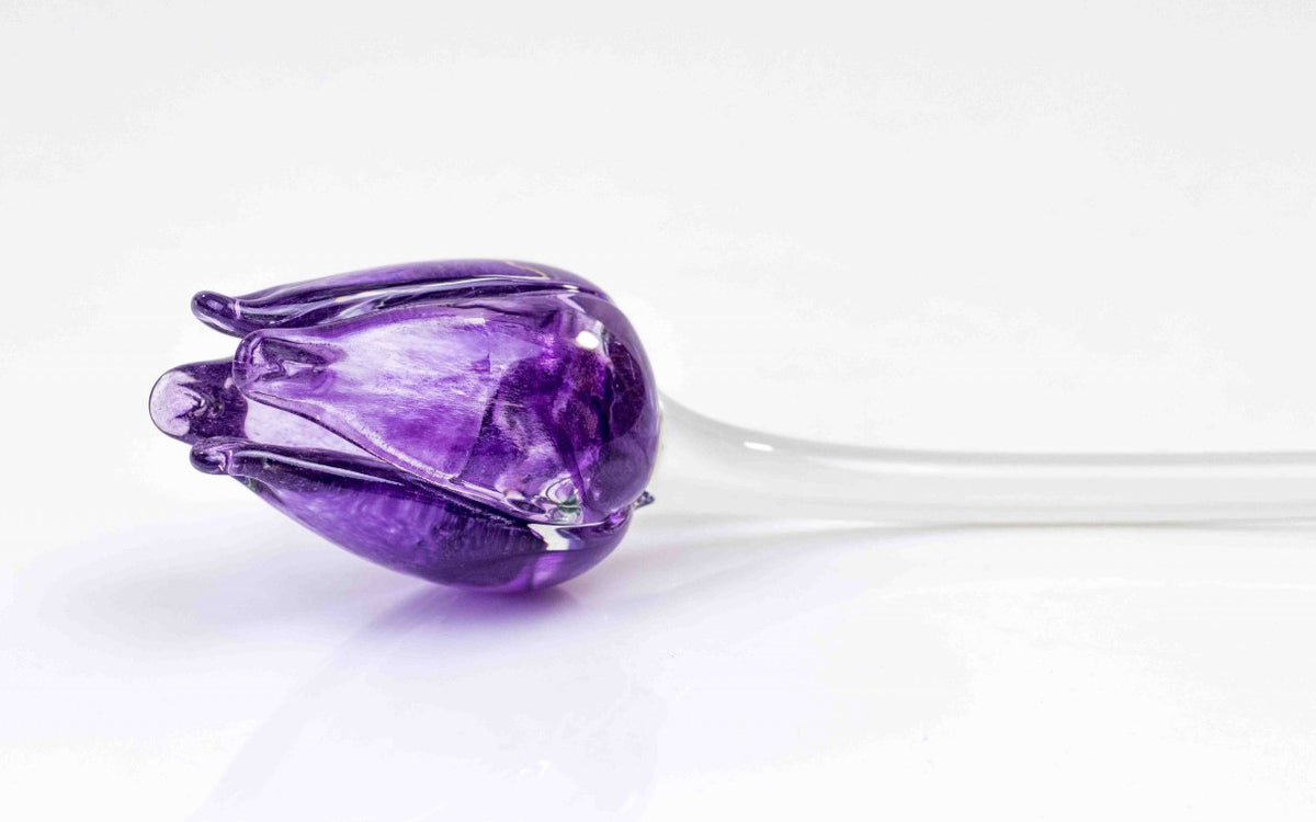 Loranto — Tulp, paars, glas