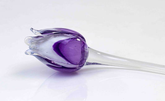 Loranto — Tulp, paars-wit, glas