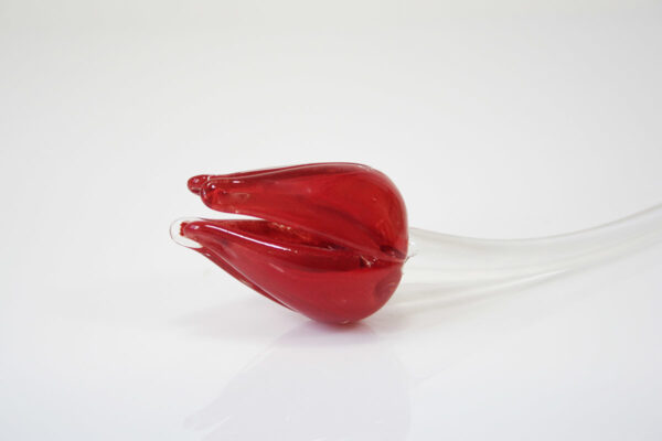 Loranto — Tulp, rood, glas