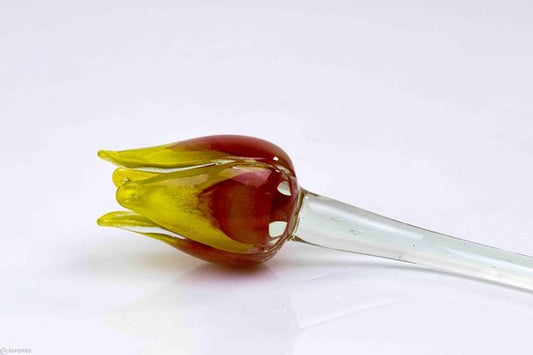 Loranto — Tulp, rood-geel, glas