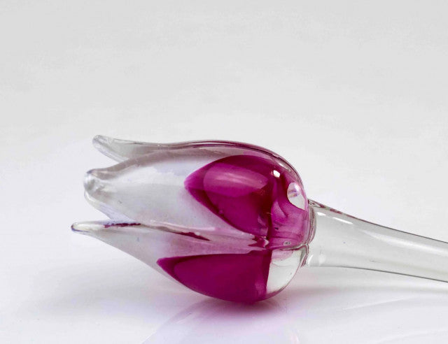 Loranto — Tulp, roze-wit, glas