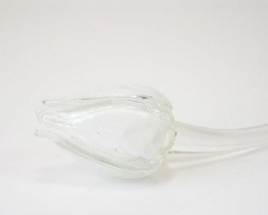 Loranto — Tulp, wit, glas
