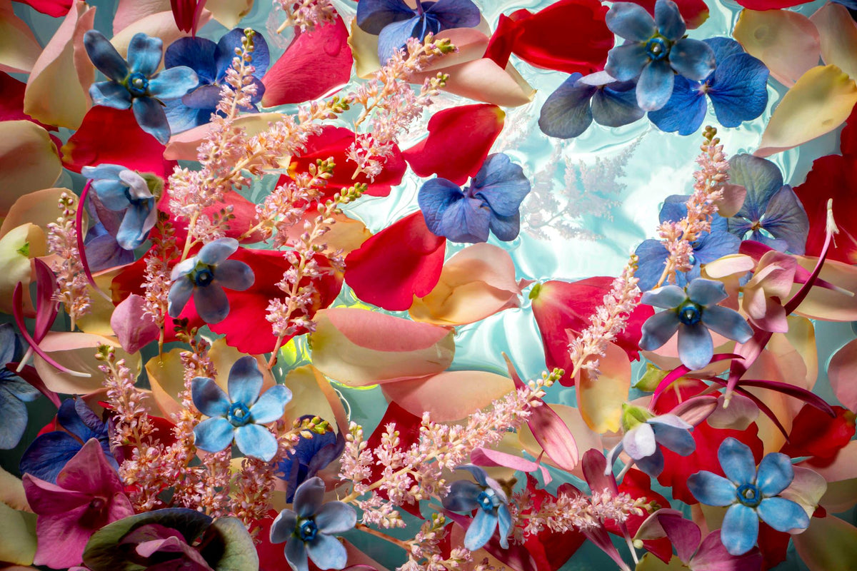 Marjon Trap — Festive Flowers, fotografie (gloss-finish)