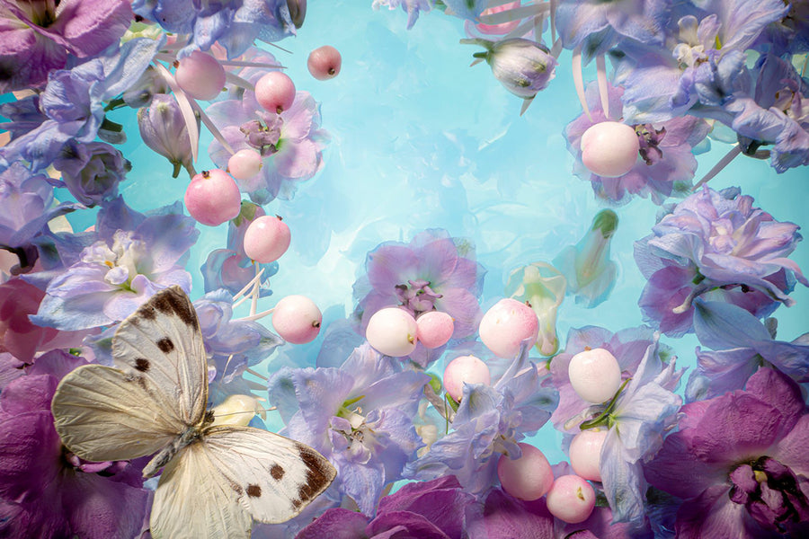 Marjon Trap — Poetry picture