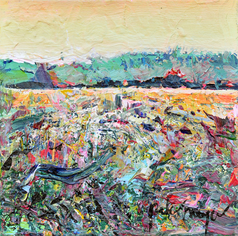 Peter Meijer — Gouden uren