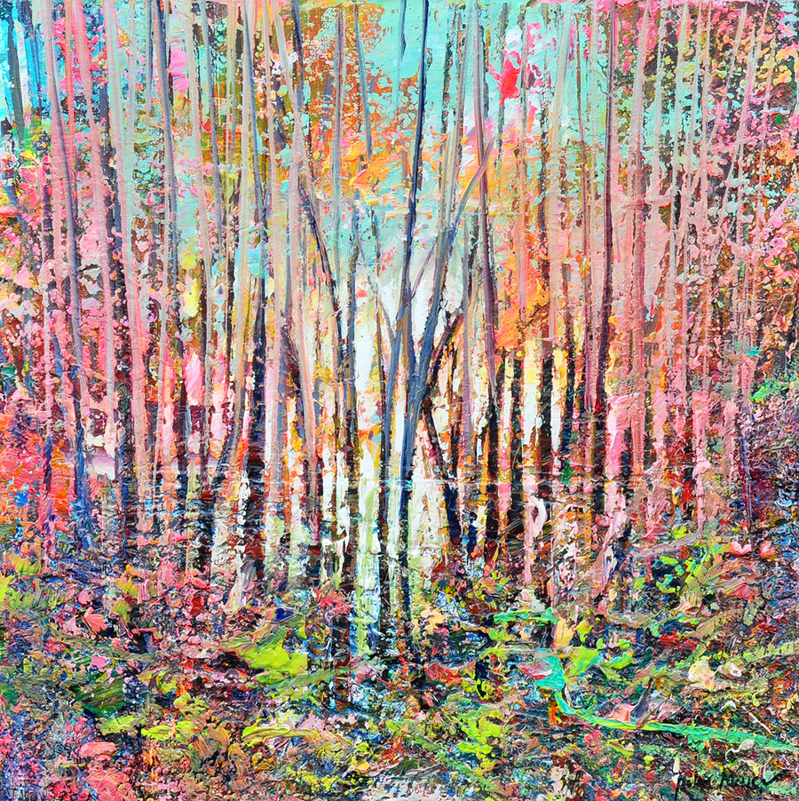 Peter Meijer — Indian forest summer