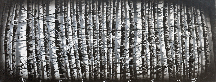 Norbertus — Black forest