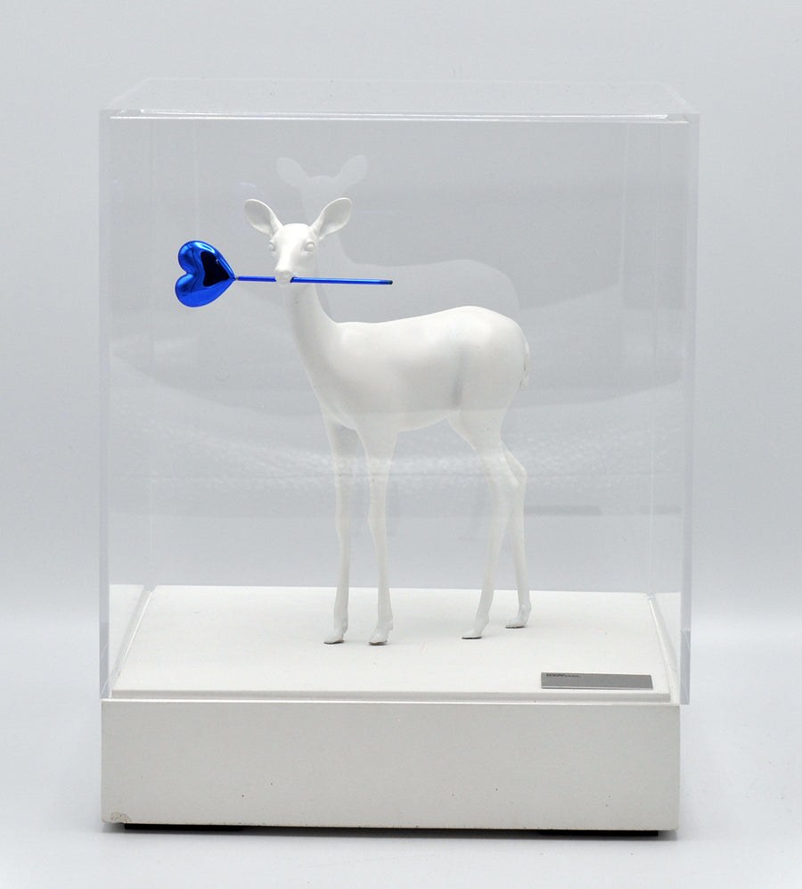Paco Raphael — Oh Dear (blue, white)