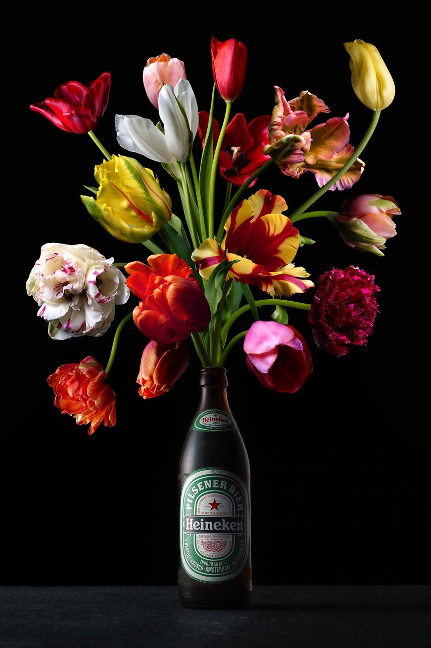 Hans Pieterse — Beer, fotografie (gloss-finish)