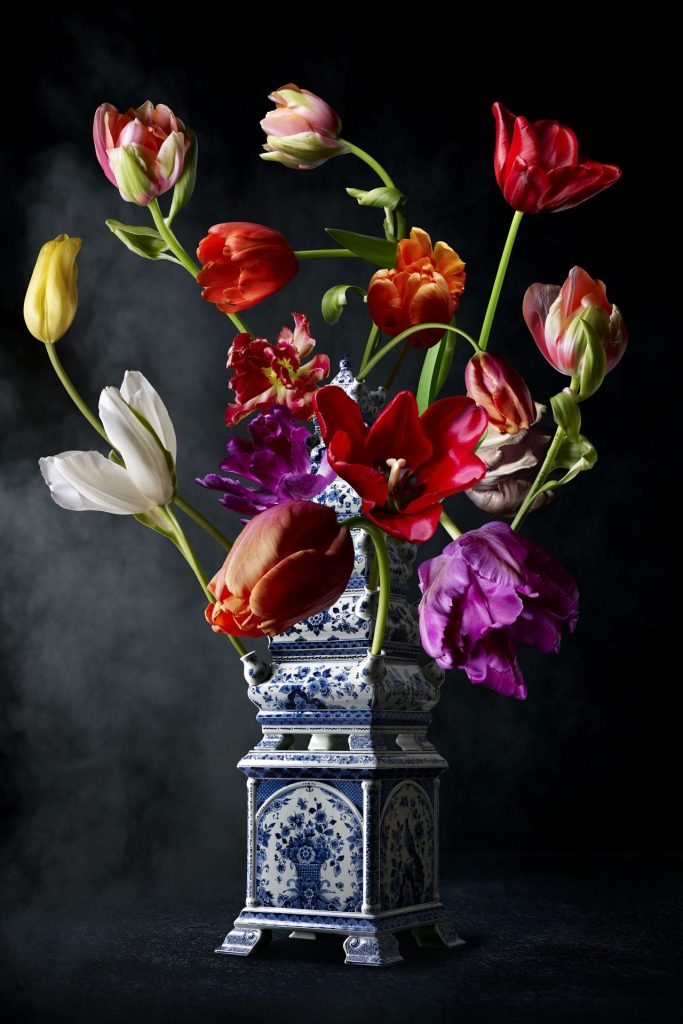 Hans Pieterse — Royal Tulip, fotografie (gloss-finish)