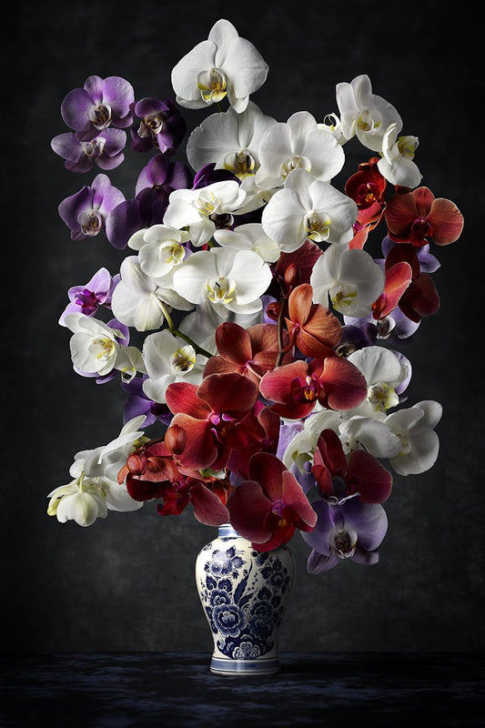 Hans Pieterse — Royal Zen 1, fotografie (gloss-finish)
